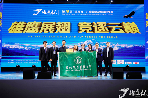 【2025赛事榜】（15）动医学子在全国大赛中再获佳绩