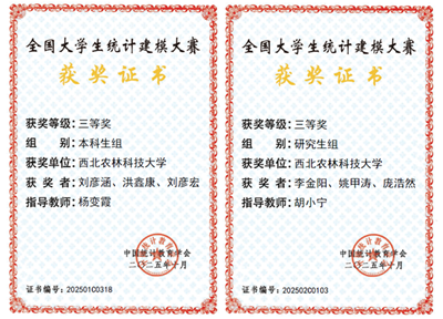 【2025赛事榜】（21）我校学子在全国大学生统计建模大赛中获佳绩